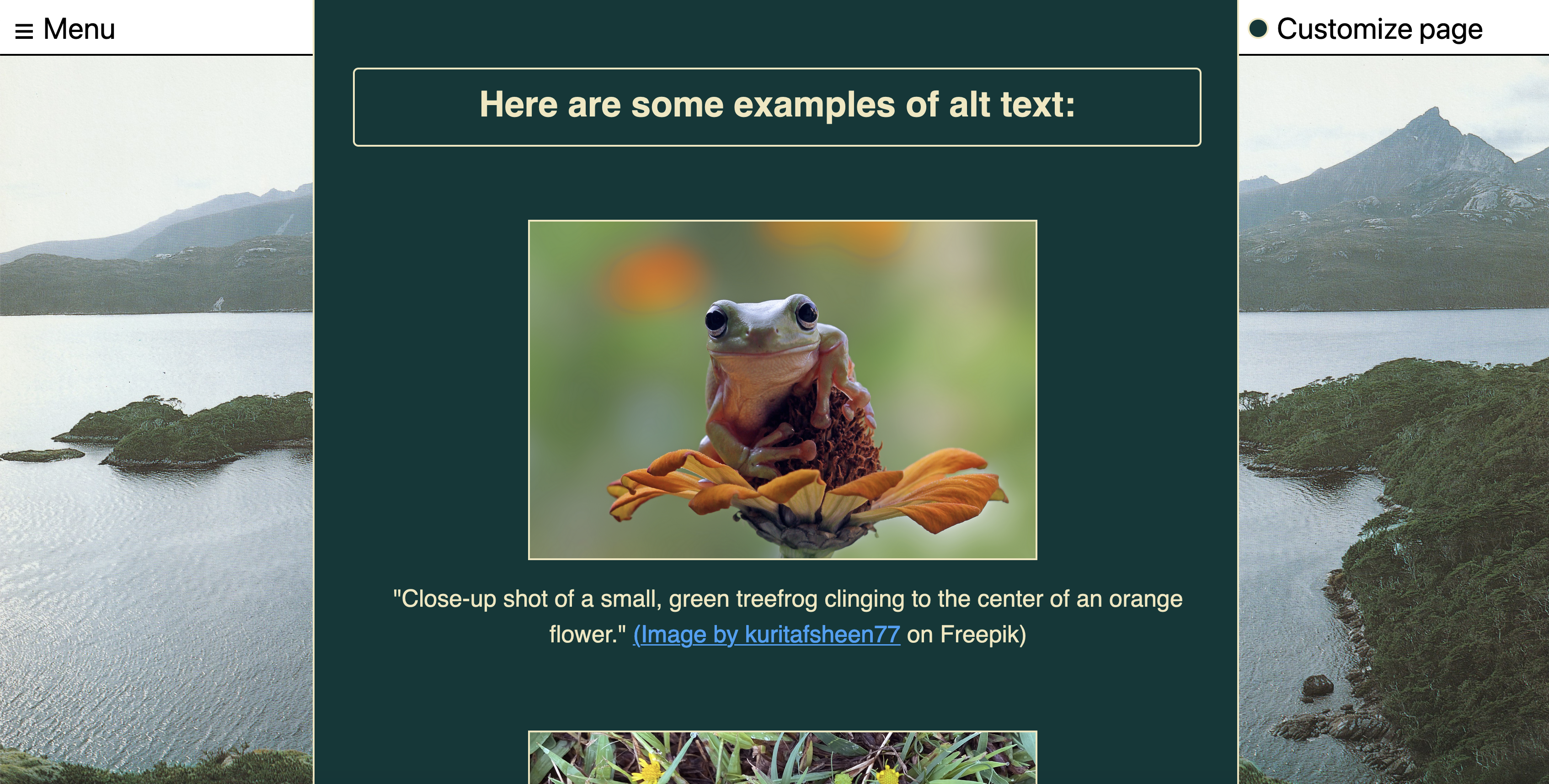 Screenshot - 1,000 words website. Header reads 'Here are some examples of alt text', with a photo of a frog below.